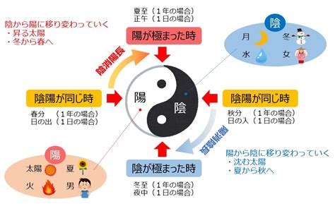 陰陽五行 動物|五行